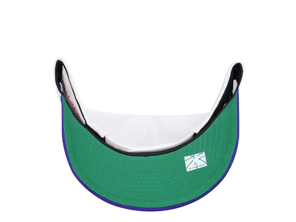Mitchell & Ness Milwaukee Bucks Team Two Tone 2.0 Pro White Snapback Cap