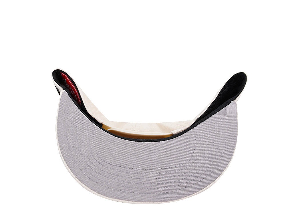 American Needle Hanshin Tigers Blockhead 2.0 Casual Snapback Cap