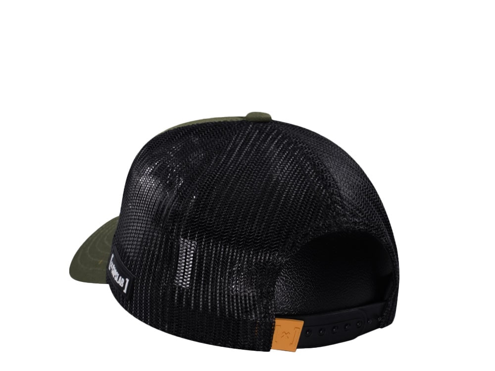 Capslab Legend of Zelda Link Trucker Snapback Cap